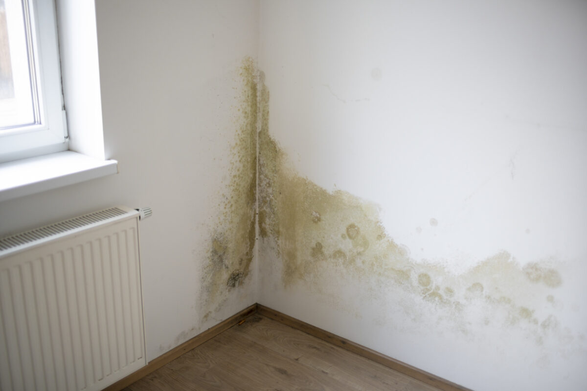 How to Address and Eliminate Mold, Fire and Water Damage Restoration Services by Cousino Restoration & Environmental Company