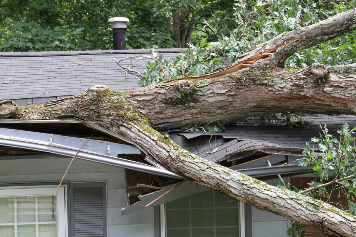 storm damage restoration company, Emergency Preparedness