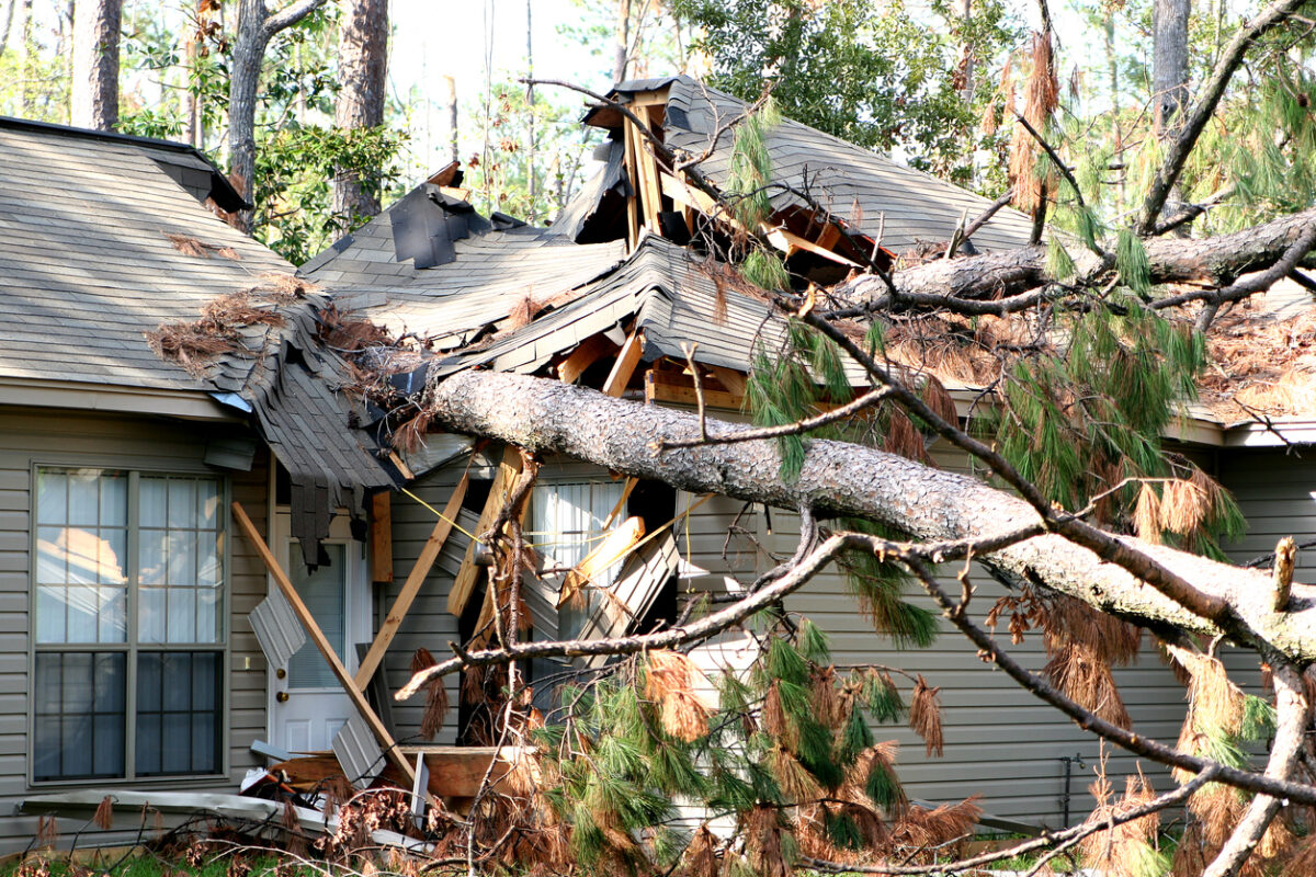 storm damage restoration in Ann Arbor, Why You Need a Professional Storm Damage Restoration Company in Ann Arbor