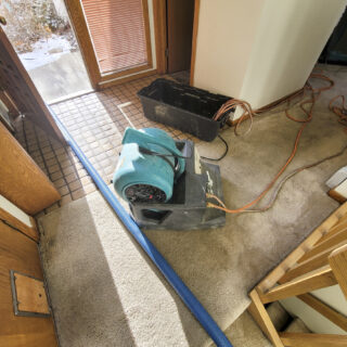water damage remediation services