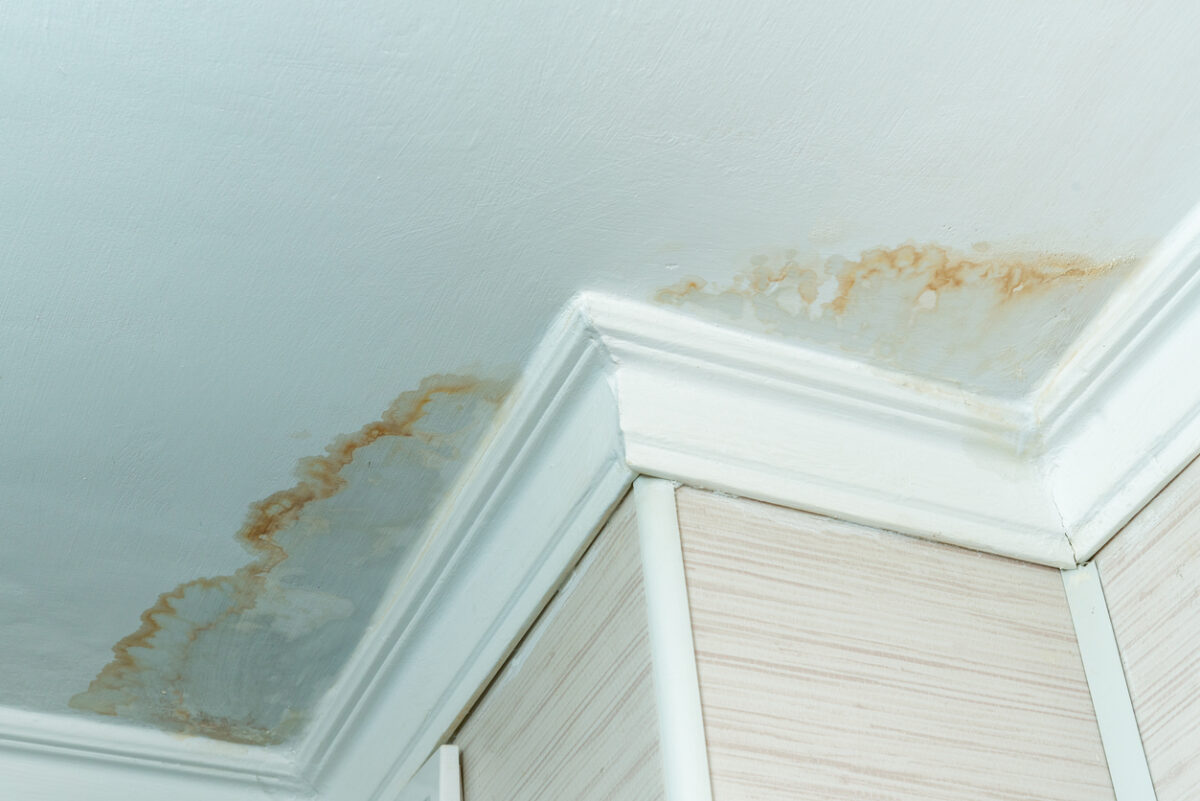 Common Signs of Water Damage, Fire and Water Damage Restoration Services by Cousino Restoration & Environmental Company